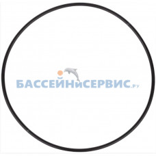 Прокладка-кольцо крышки префильтра насоса E-Turbo Emaux 111010057